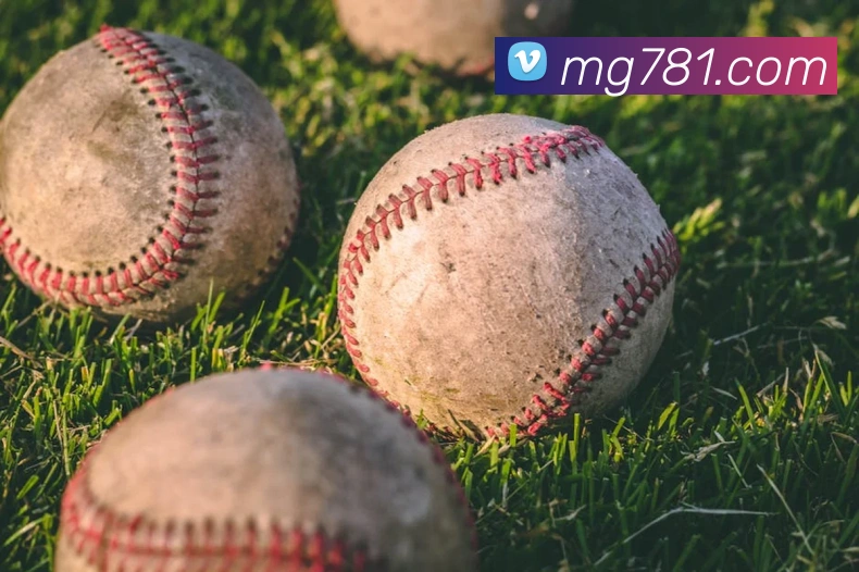 MG娱乐平台官网平台生态图